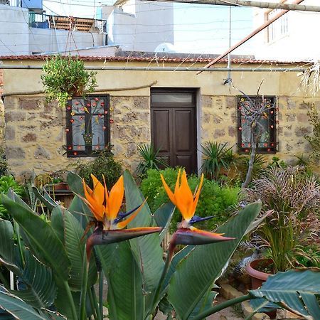 Mystery Garden Guest House Фамагуста Екстериор снимка