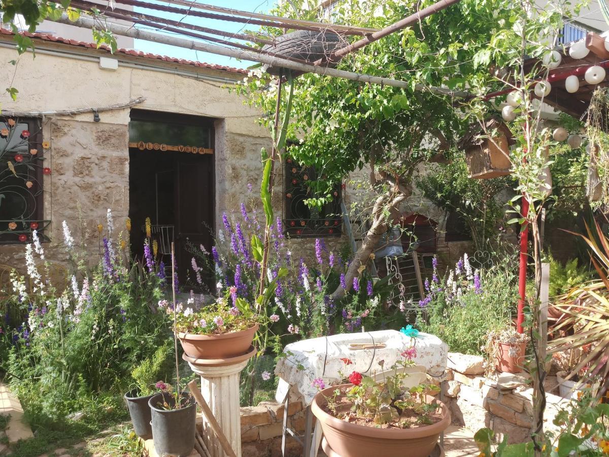 Mystery Garden Guest House Фамагуста Екстериор снимка