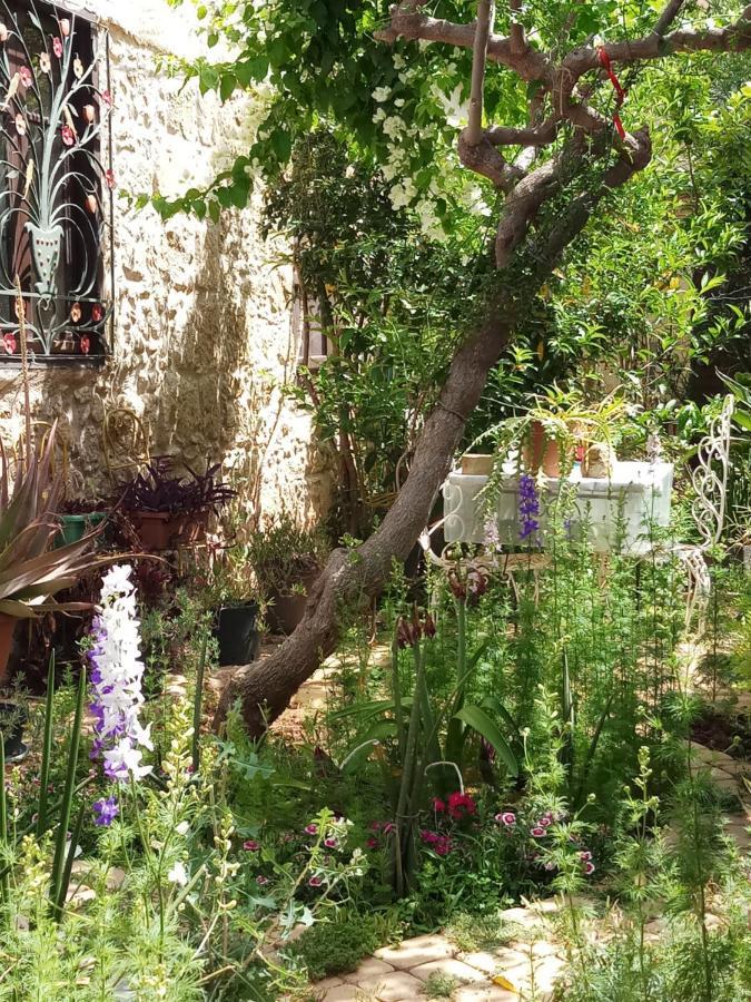 Mystery Garden Guest House Фамагуста Екстериор снимка