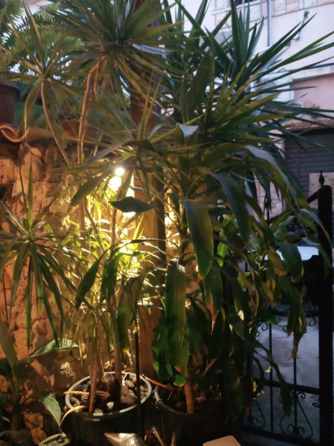 Mystery Garden Guest House Фамагуста Екстериор снимка