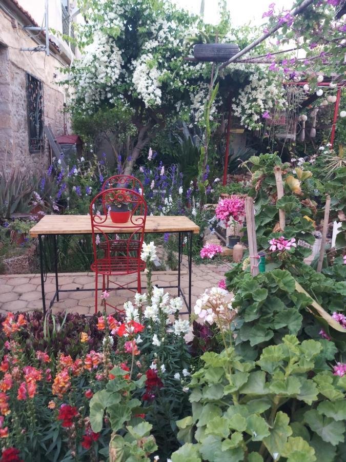 Mystery Garden Guest House Фамагуста Екстериор снимка