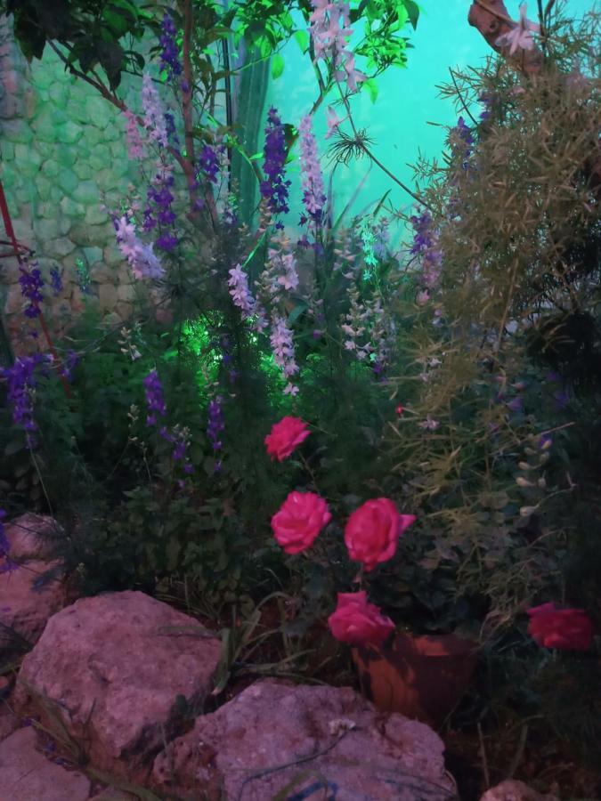 Mystery Garden Guest House Фамагуста Екстериор снимка