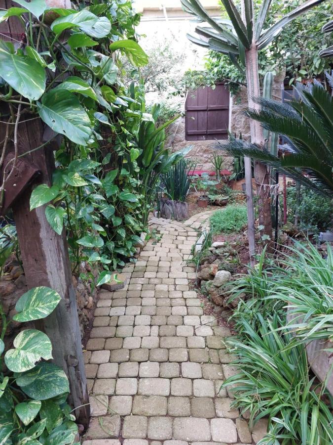 Mystery Garden Guest House Фамагуста Екстериор снимка