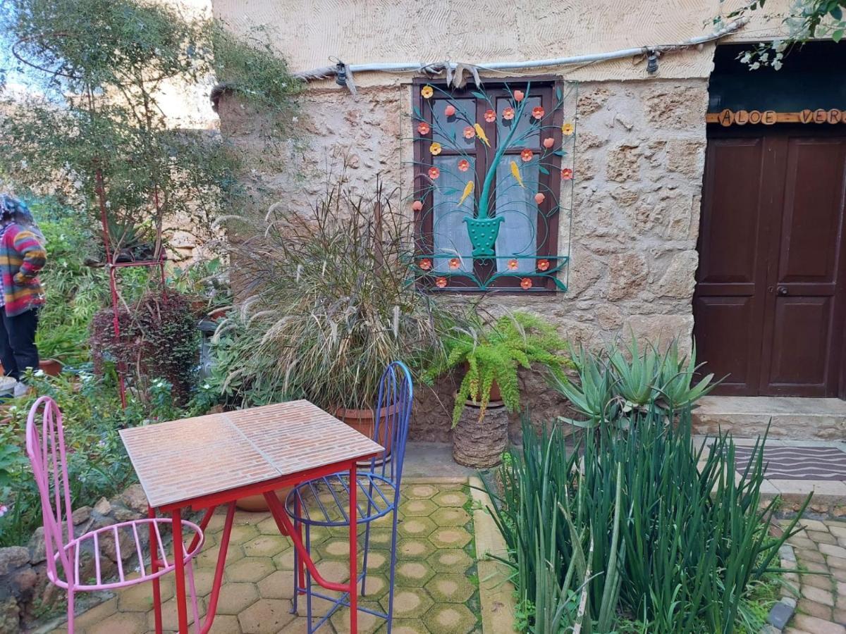 Mystery Garden Guest House Фамагуста Екстериор снимка