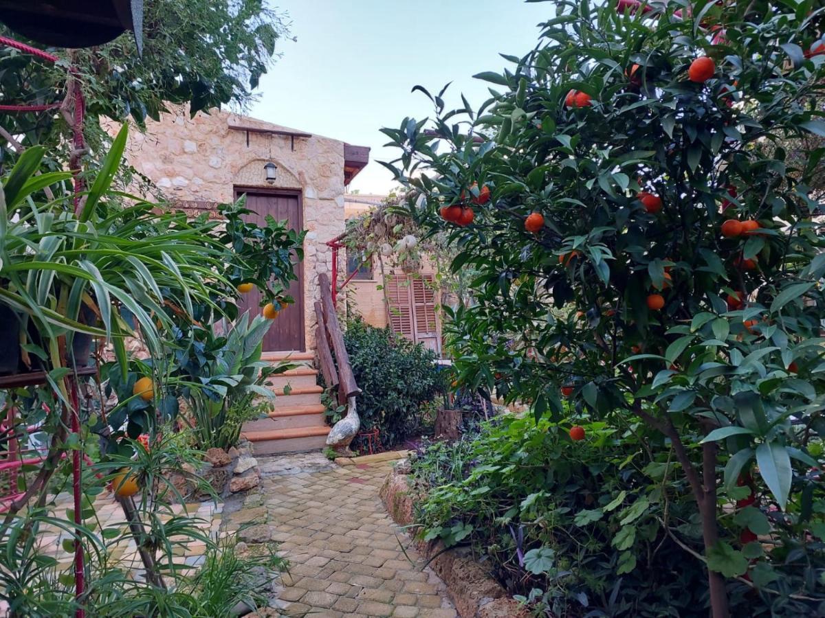 Mystery Garden Guest House Фамагуста Екстериор снимка