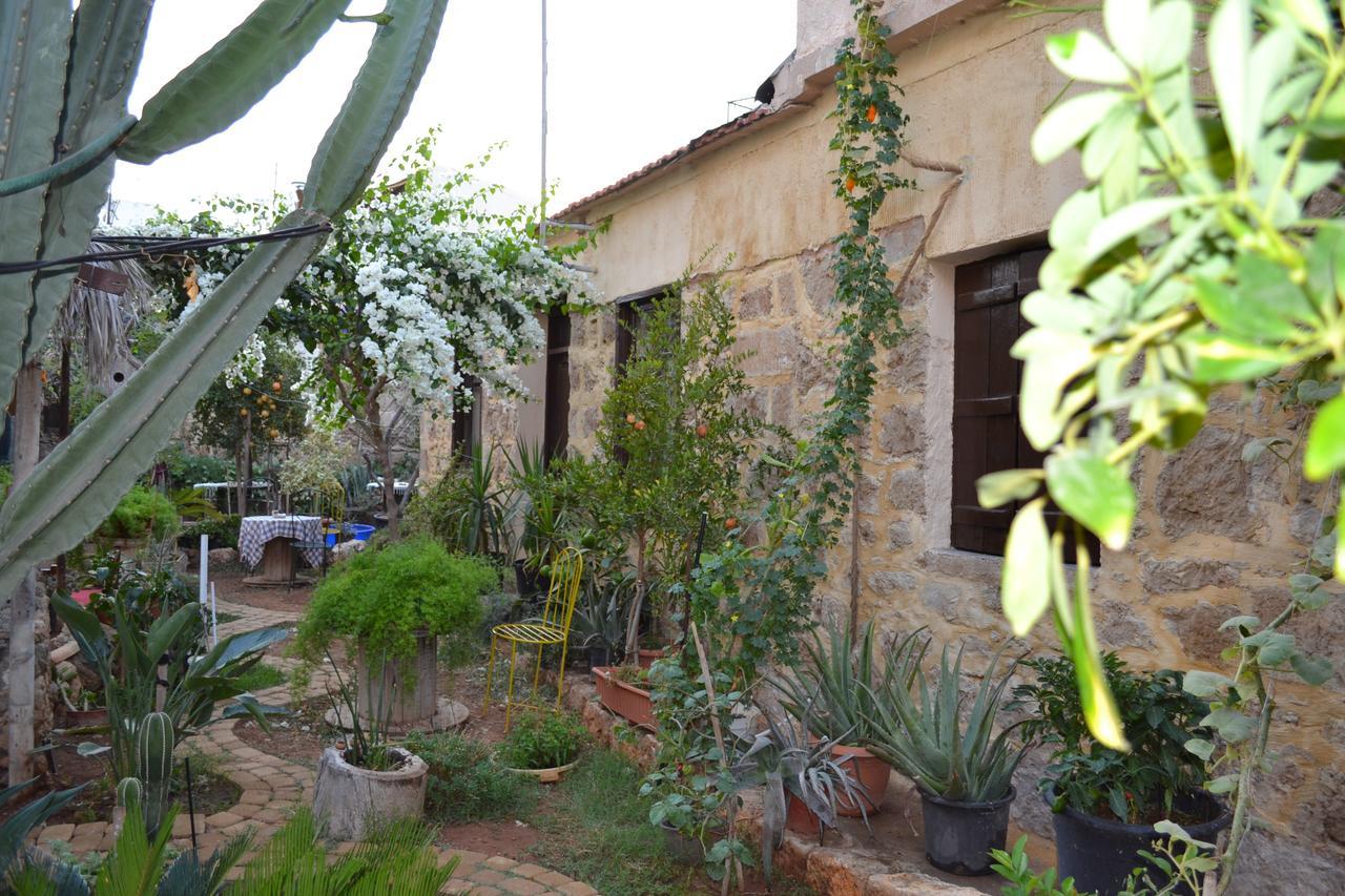 Mystery Garden Guest House Фамагуста Екстериор снимка