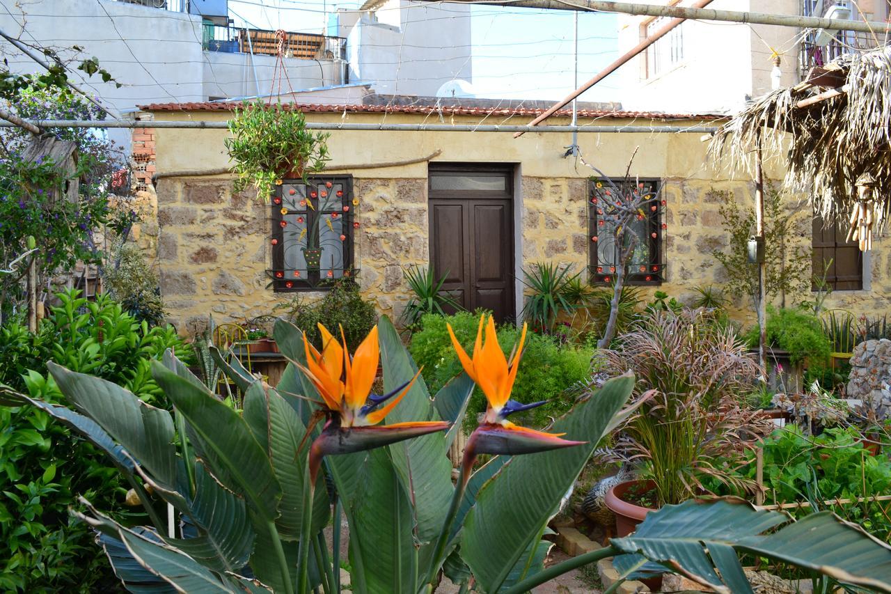 Mystery Garden Guest House Фамагуста Екстериор снимка