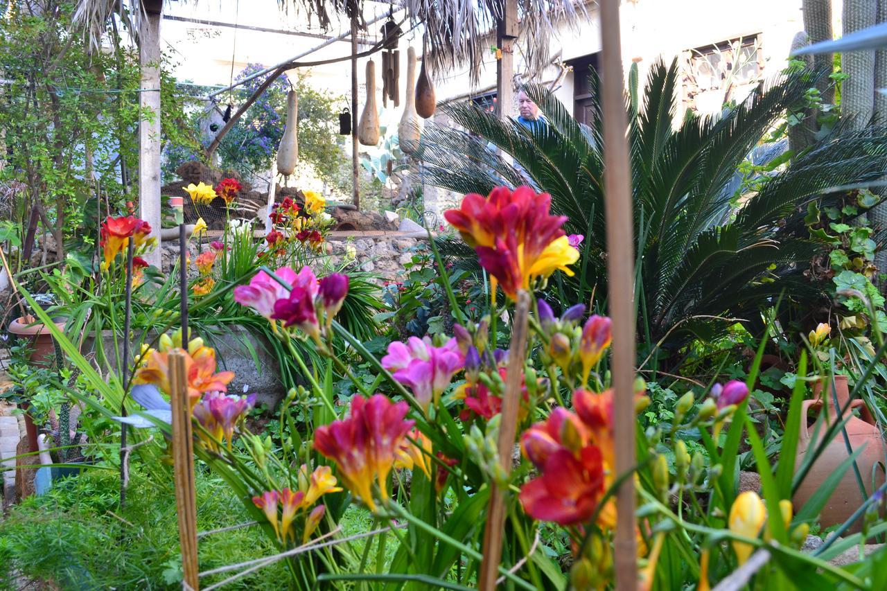 Mystery Garden Guest House Фамагуста Екстериор снимка