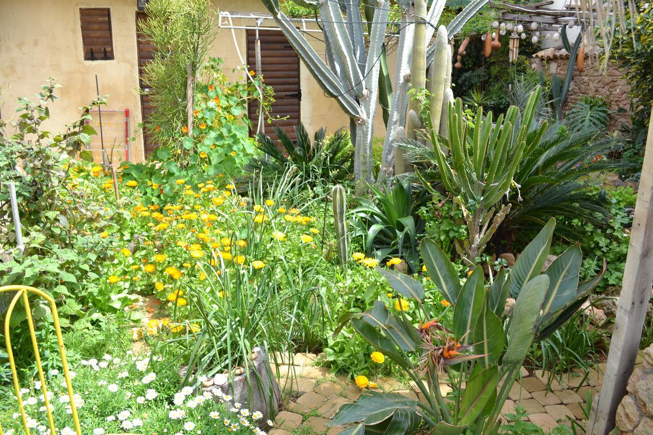 Mystery Garden Guest House Фамагуста Екстериор снимка