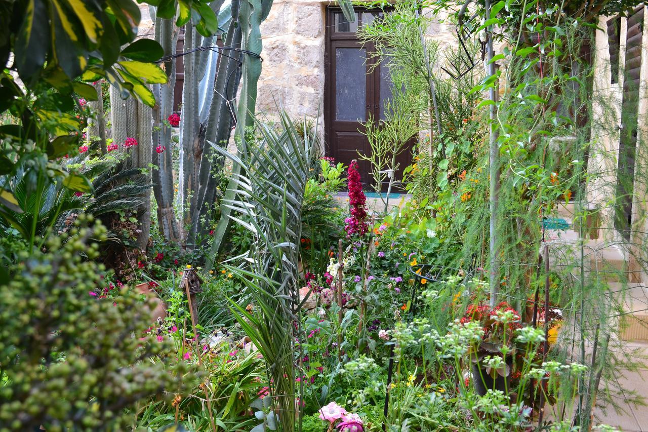 Mystery Garden Guest House Фамагуста Екстериор снимка