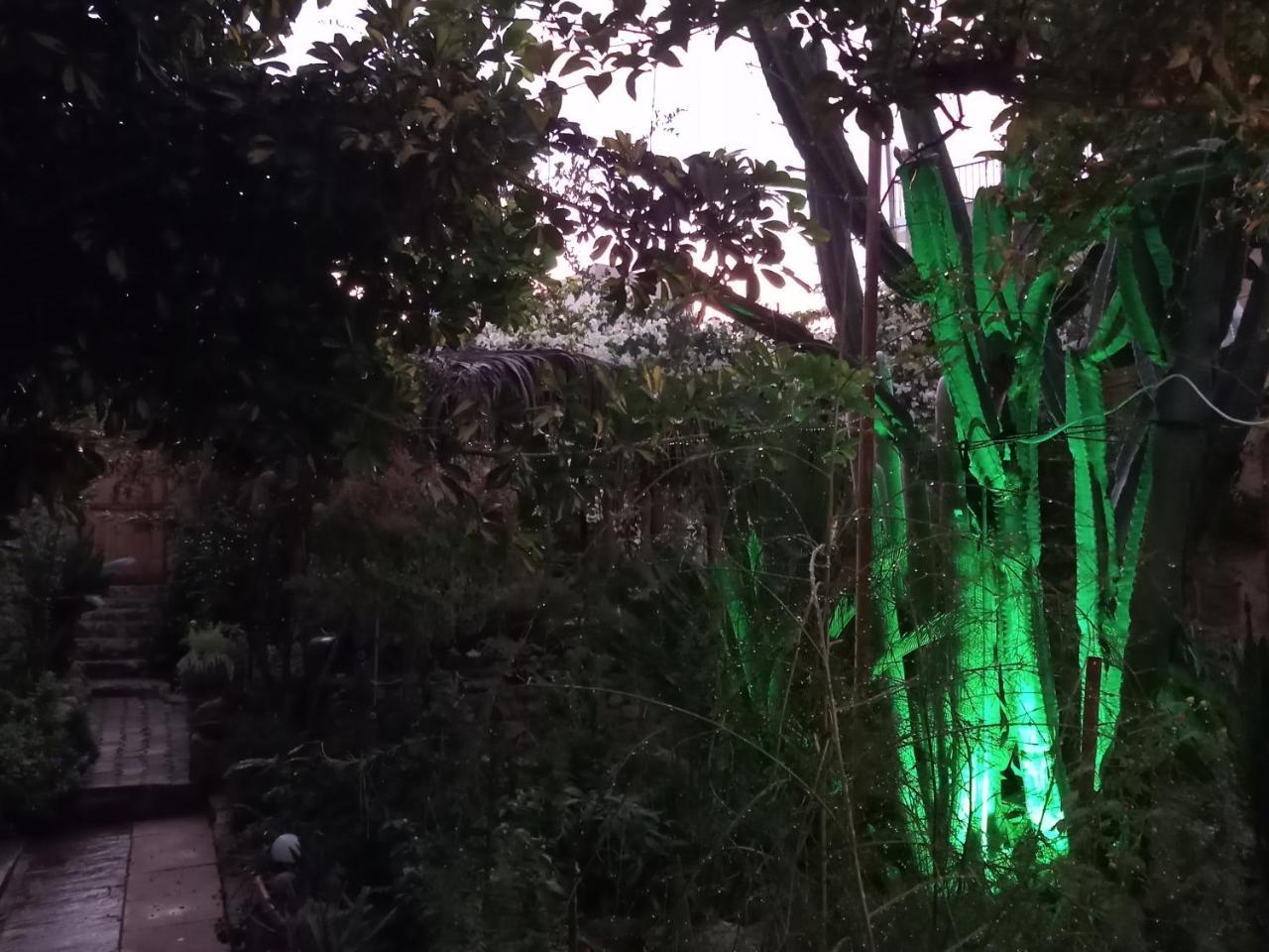 Mystery Garden Guest House Фамагуста Екстериор снимка