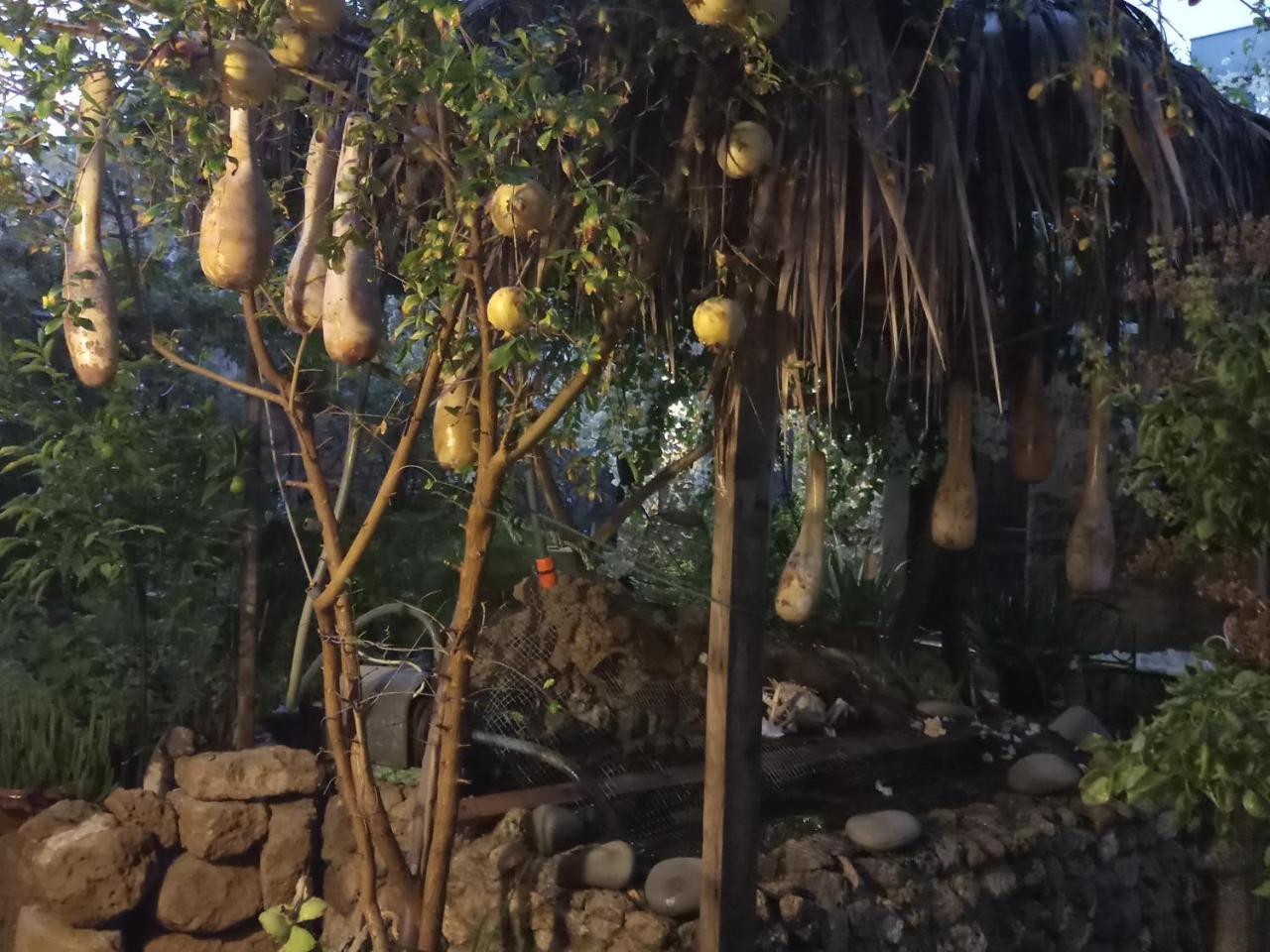 Mystery Garden Guest House Фамагуста Екстериор снимка