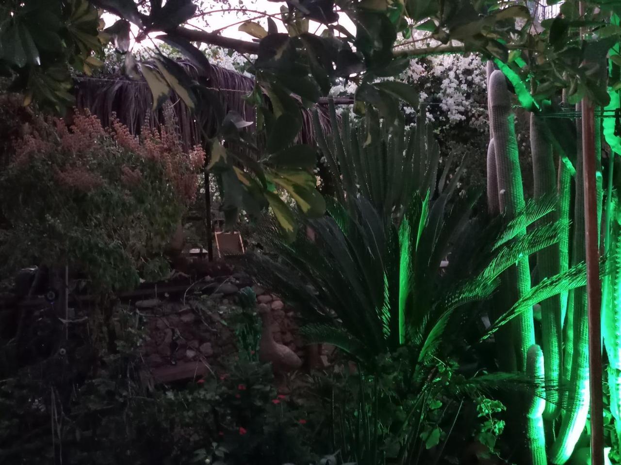 Mystery Garden Guest House Фамагуста Екстериор снимка
