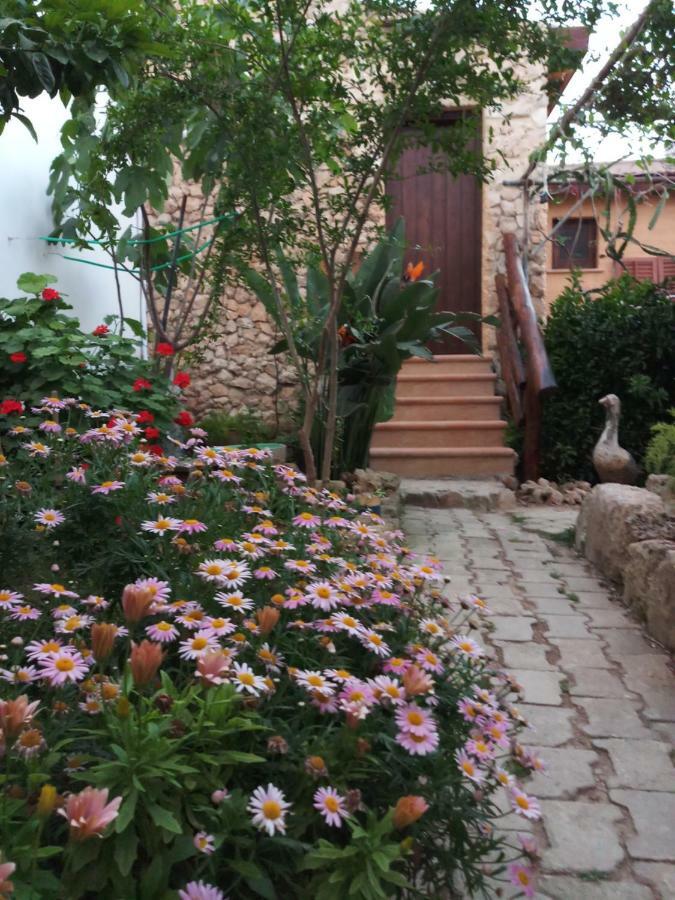 Mystery Garden Guest House Фамагуста Екстериор снимка