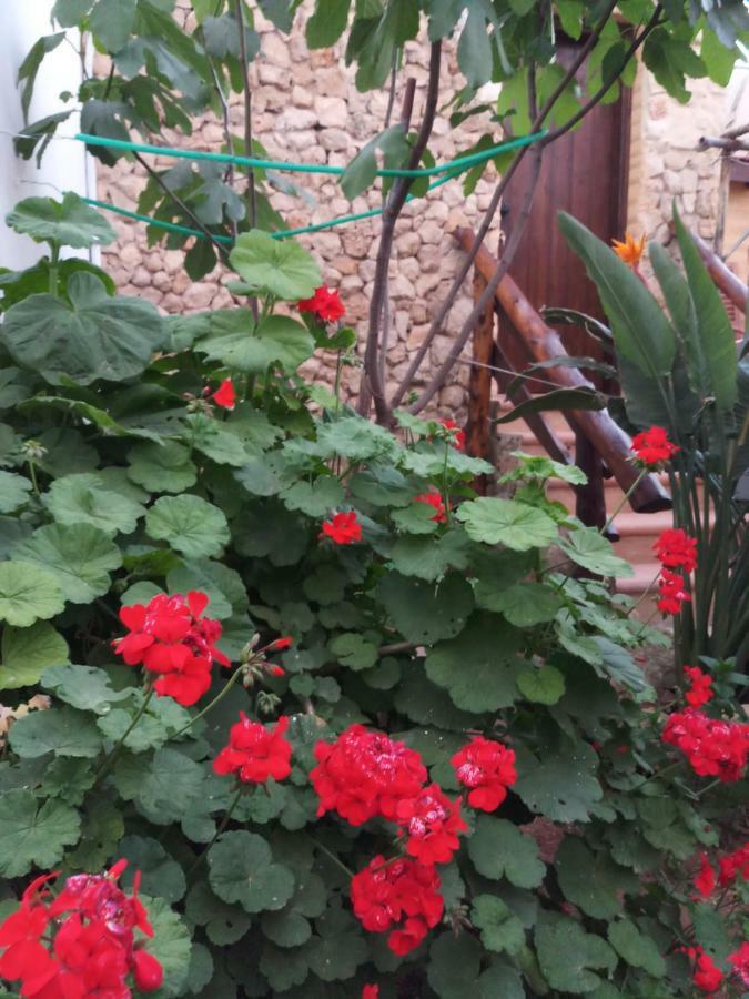 Mystery Garden Guest House Фамагуста Екстериор снимка